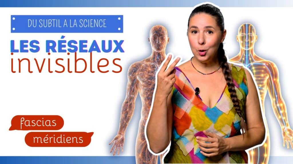 La circulation de l'énergie Vitale dans le corps 1 circulation denergie 6