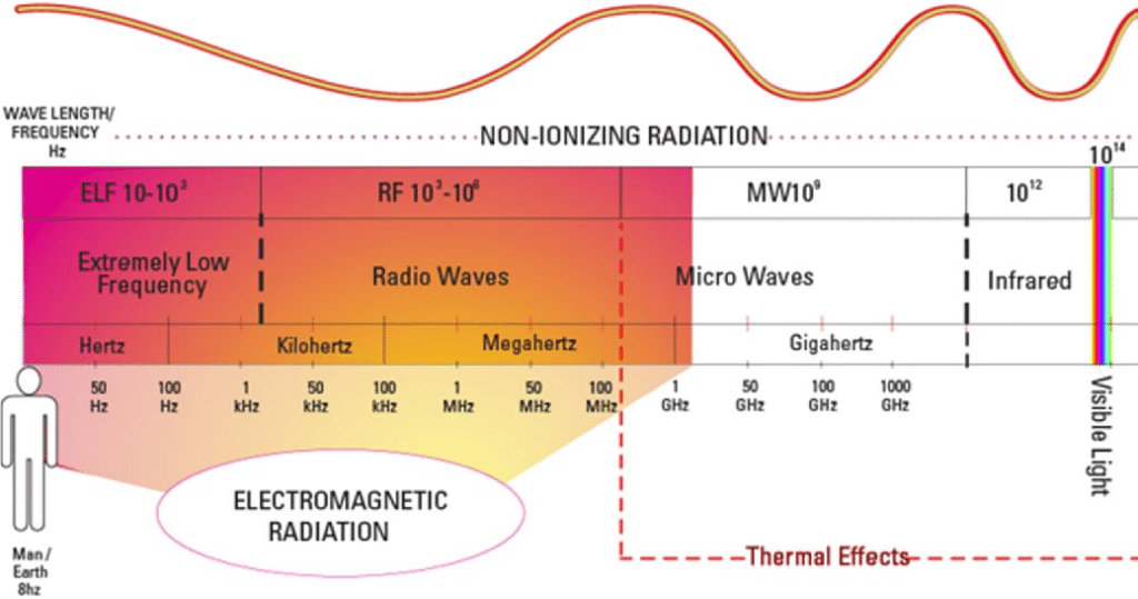 La circulation de l'énergie Vitale dans le corps 3 image